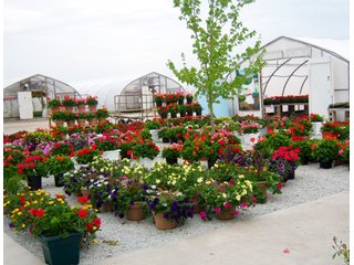 <a href="http://www.mcintoshgreenhouse.com">More Information Available at www.mcintoshgreenhouse.com</a><br><br>Fantastic opportunity on 14+/- acres just south of Goshen, IN with lots of frontage on US 33.  This property is currently zoned commercial-retail and consists of 16 greenhouses with 37,494 SF of heated growing area.  

In addition, it includes retail buildings, shop, and an approx. 1700 SF home adjacent to the business. Opportunities abound with this prime property and the second generation owners retiring and ready to consider offers.  Possible uses of this acreage is unlimited!  A Great location on a busy road, good access and paved parking for 66 vehicles.

 - 14+/- Acres Zoned Commercial-Retail